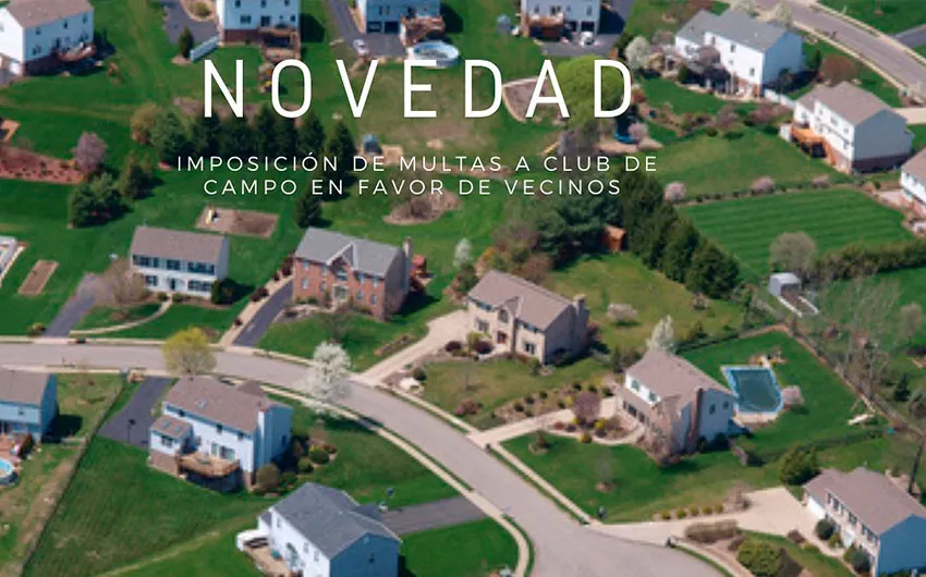 novedad