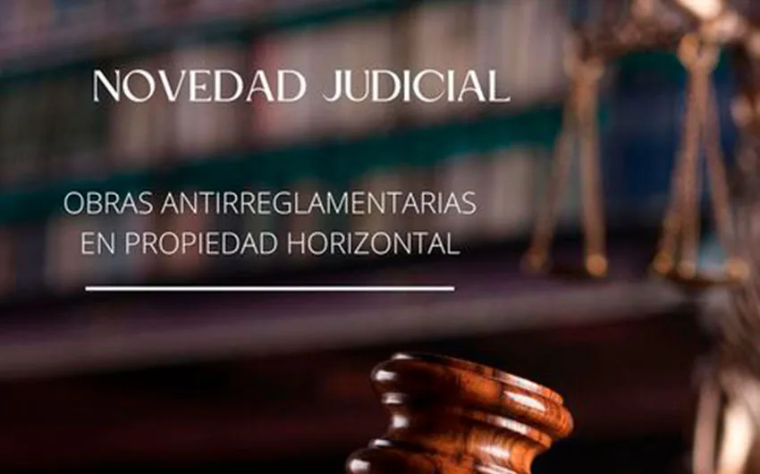 novedad
